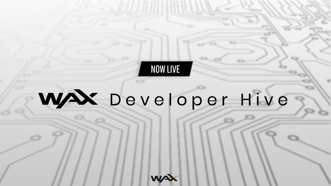 What is the WAX Developer Hive?
